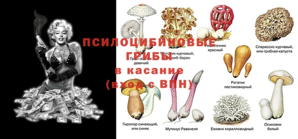 MDMA Богданович